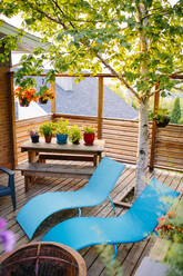 Blaue Lounges in der Nähe eines grünen Baumes auf der Holzterrasse eines Gebäudes mit verschiedenen Topfpflanzen auf einem Tisch an einem Sommertag - ADSF35794