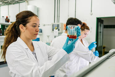 Fokussierte Wissenschaftlerin mit Schutzbrille und Latexhandschuhen, die einen Kolben mit einer hellen chemischen Flüssigkeit beobachtet, während sie in einem hellen Labor forscht - ADSF35814