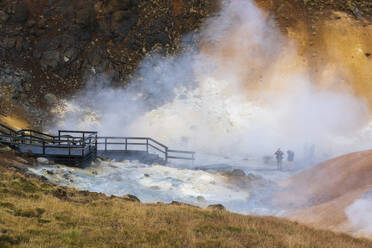 Geothermisches Gebiet Seltun, Krysuvik, Halbinsel Reykjanes, Island, Polarregionen - RHPLF22502