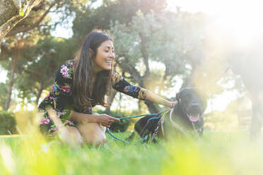 Aufgeregte Besitzerin lacht, während sie sich auf dem Rasen ausruht und mit schwarzen Labrador Retriever-Hunden an einem sonnigen Sommertag im Park spielt - ADSF35904