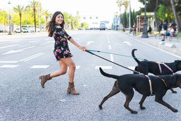 Voller Länge Seitenansicht der Frau in geblümten Kleid und Stiefel Blick auf die Kamera lächelnd, während zu Fuß hinter Labrador Retriever Hunde an der Leine überqueren Straße auf sonnigen Sommertag in der Stadt - ADSF35908