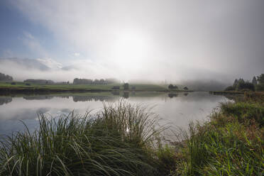 Deutschland, Bayern, Ufer des Schmalensees bei nebligem Wetter - RUEF03757