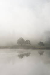 Deutschland, Bayern, Schmalensee in dichten Herbstnebel gehüllt - RUEF03759