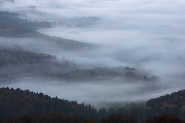 Bewaldetes Tal, eingehüllt in dichten Herbstnebel - RUEF03764
