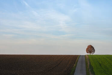 Himmel über einer Landstraße, die sich im Herbst zwischen Feldern erstreckt - RUEF03773