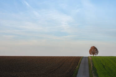 Sky over country road stretching between fields in autumn - RUEF03773
