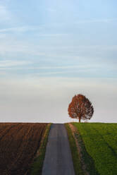 Sky over country road stretching between fields in autumn - RUEF03774