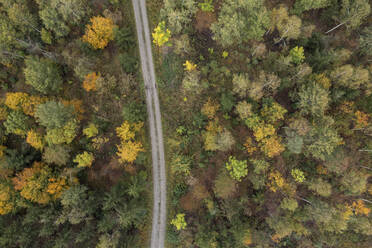 Drohnenansicht eines unbefestigten Weges durch den herbstlichen Wald im Steigerwald - RUEF03777