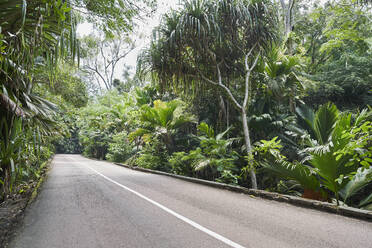 Seychellen, Praslin, Asphaltierte Straße durch üppig grünen Regenwald - RORF02936