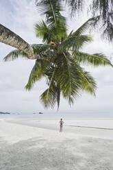 Seychellen, Praslin, Mädchen steht allein am Strand mit Palme im Vordergrund - RORF02939