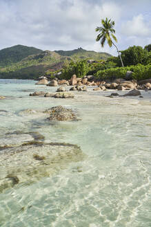 Seychelles, Praslin, Boulders lying along tropical beach - RORF02943