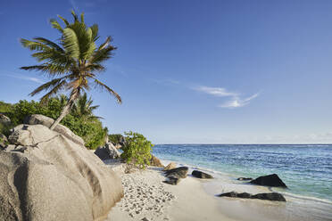 Seychellen, La Digue, Tropischer Strand im Sommer - RORF02951