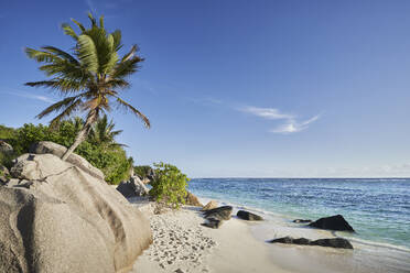 Seychelles, La Digue, Tropical beach in summer - RORF02951