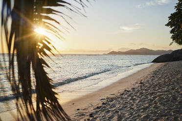 Seychellen, La Digue, Tropischer Strand bei Sonnenuntergang - RORF02954