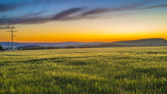 Weites grünes Feld bei Sonnenuntergang im Frühling - MHF00621