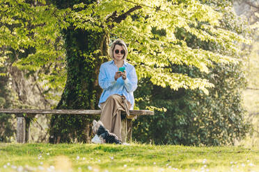Woman wearing sunglasses using smart phone sitting on bench by pet dog at park - OMIF00966