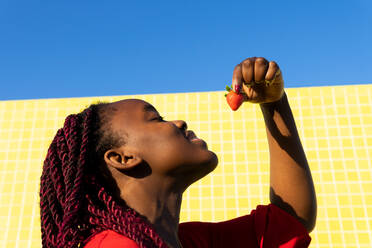 From below cheerful young African American female in red outfit eating strawberry against yellow background on a sunny day - ADSF35938