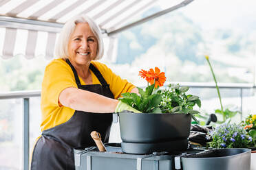 Positive middle aged female gardener in apron smiling and looking at camera while working in greenhouse - ADSF36038