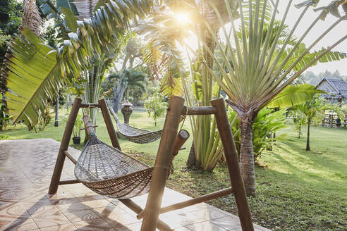 Hammock hanging by palm trees at resort - RORF02956