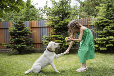 Mädchen zeigt dem Hund im Hinterhof den Ball - OSF00486