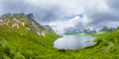 Norwegen, Troms og Finnmark, Blick auf die bewaldete Küste des Bergsfjorden - STSF03349