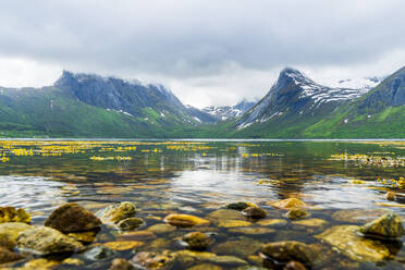 Norwegen, Troms og Finnmark, Die malerische Küste des Bergsfjordes - STSF03360