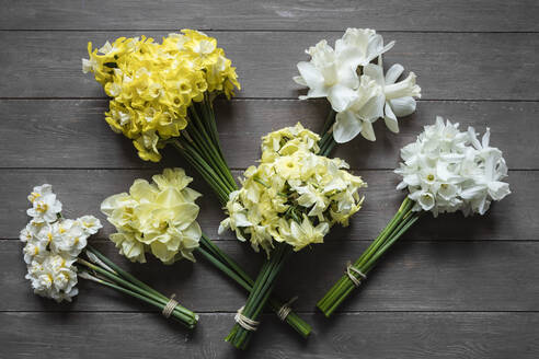 Studio shot of various daffodils tied into bouquets - EVGF04034