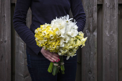 Mid section of woman holding bouquets of white and yellow bloomng daffodils - EVGF04038