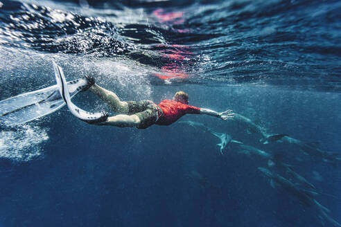 Man swimming with sharks in sea - KNTF06725