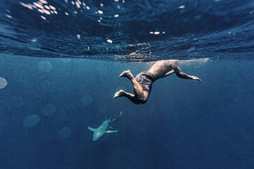Man swimming by shark in sea - KNTF06729