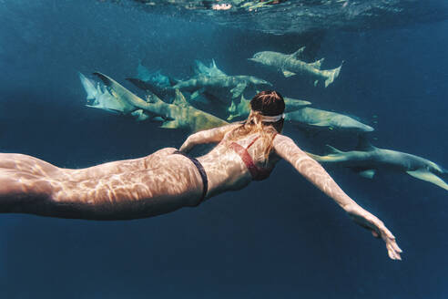 Frau schwimmt mit Ammenhaien im Meer - KNTF06730