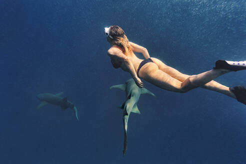 Frau schwimmt mit Ammenhaien in tiefblauem Meer - KNTF06733