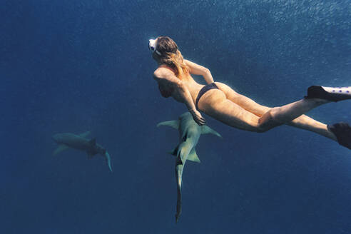 Woman swimming with nurse sharks in deep blue sea - KNTF06733