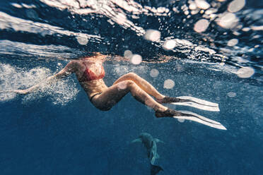 Frau und Ammenhai schwimmen im Meer - KNTF06734