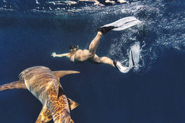 Woman swimming by nurse shark in sea - KNTF06740