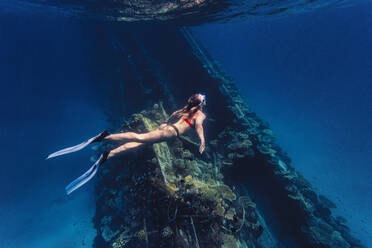 Frau erforscht Schiffswrack und schwimmt unter Wasser - KNTF06752