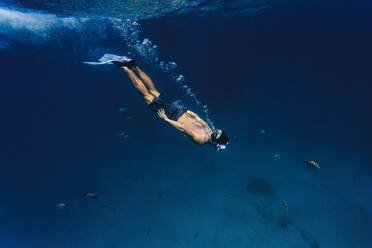 Mann schwimmt unter Wasser mit Fischen im Meer - KNTF06756