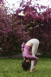 Woman practicing Uttanasana in front of apple blossom trees - EYAF01998
