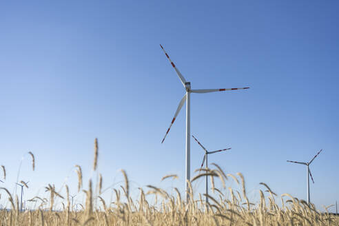 Windräder in einem Weizenfeld an einem sonnigen Tag - SVKF00406