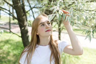 Mädchen hält Blätter eines Baumes im Park - LLUF00840