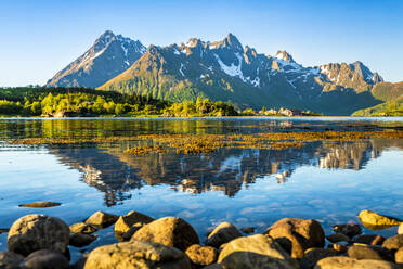 Norwegen, Nordland, Küstenlinie des Austnesfjorden mit Bergen im Hintergrund - STSF03371