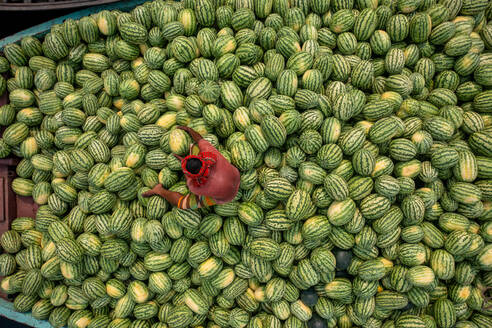 Aerial view of people among the watermelons at work on the Buriganga River, Dhaka Kotwali Thana, Dhaka, Bangladesh. - AAEF15071