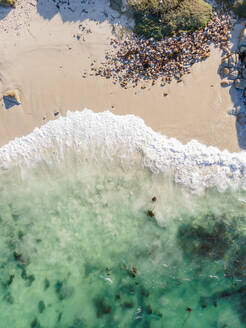 Luftaufnahme von Fisherman's Beach, Simonstown, Kapstadt, Westkap, Südafrika. - AAEF15152