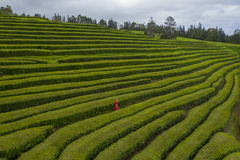 Luftaufnahme einer Frau in einem Labyrinth von Blumenbeeten entlang des Hügels, Sao Bras, Maia, Azoren, Portugal. - AAEF15167