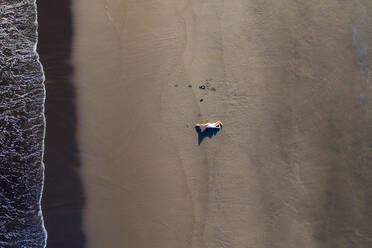 Luftaufnahme einer Frau beim Entspannen am Strand Praia de Areal de Santa Barbara, Ribeira Seca, Azoren, Portugal. - AAEF15173