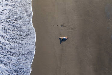 Luftaufnahme einer Frau beim Entspannen am Strand Praia de Areal de Santa Barbara, Ribeira Seca, Azoren, Portugal. - AAEF15174