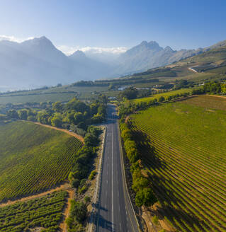 Luftaufnahme einer Landstraße, die durch Weinberge führt, Stellenbosch NU, Westkap, Südafrika. - AAEF15201