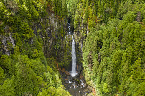 Luftaufnahme des Wasserfalls Cascata das Lombadas im Wald, Ribeira Grande, Azoren, Portugal. - AAEF15252