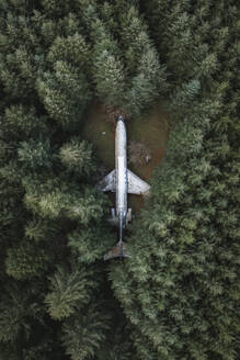 Aerial view of a rusty airplane in the forest, Oregon, United States. - AAEF15286