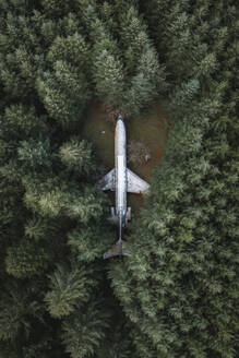 Luftaufnahme eines verrosteten Flugzeugs im Wald, Oregon, Vereinigte Staaten. - AAEF15286